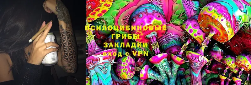 Псилоцибиновые грибы MAGIC MUSHROOMS  Подпорожье 